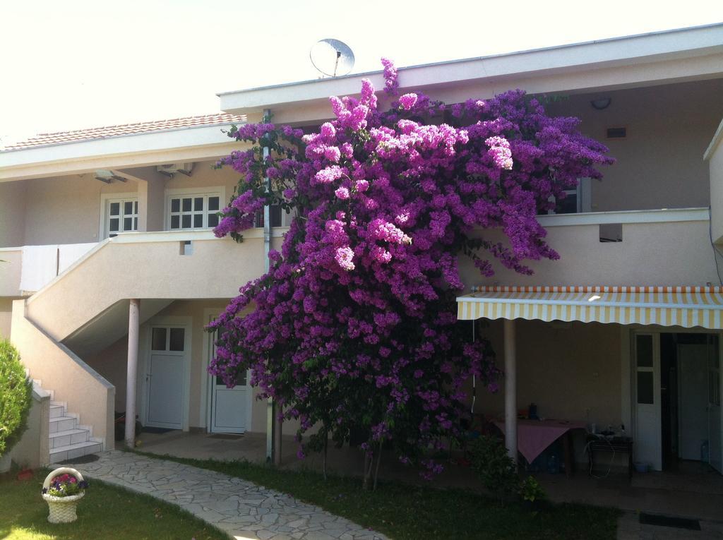 Apartments Ada Bojana Ulcinj Room photo